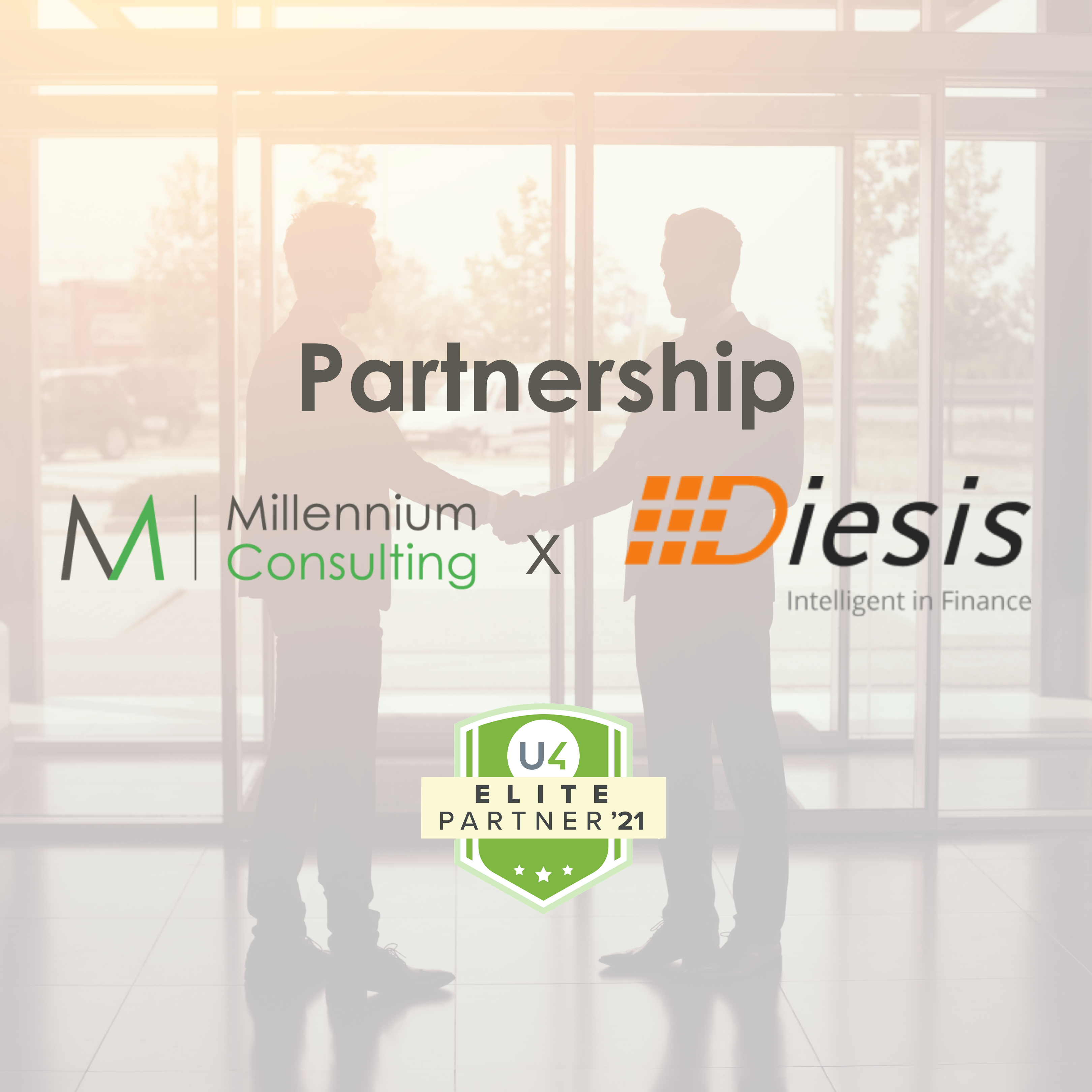 Millennium partnership with Diesis